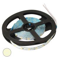 s-2835 300led ip33 12v w-white