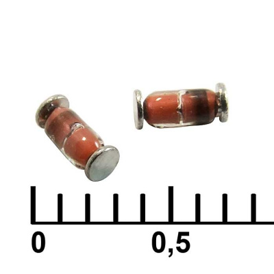 bzv55c6v2
