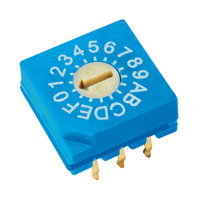 rs31600